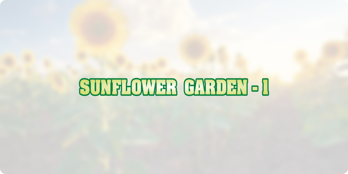 Sunflower garden 1
